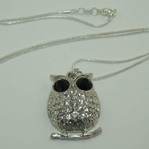 NWOT! Owl Necklace - Picture 8 of 8