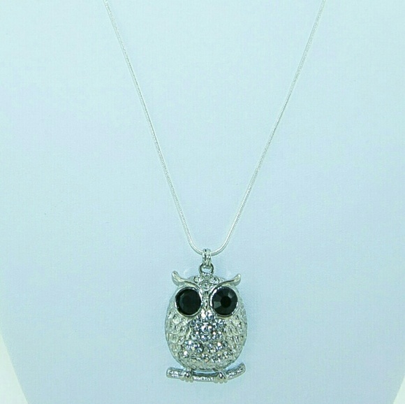 NWOT! Owl Necklace - Picture 2 of 8