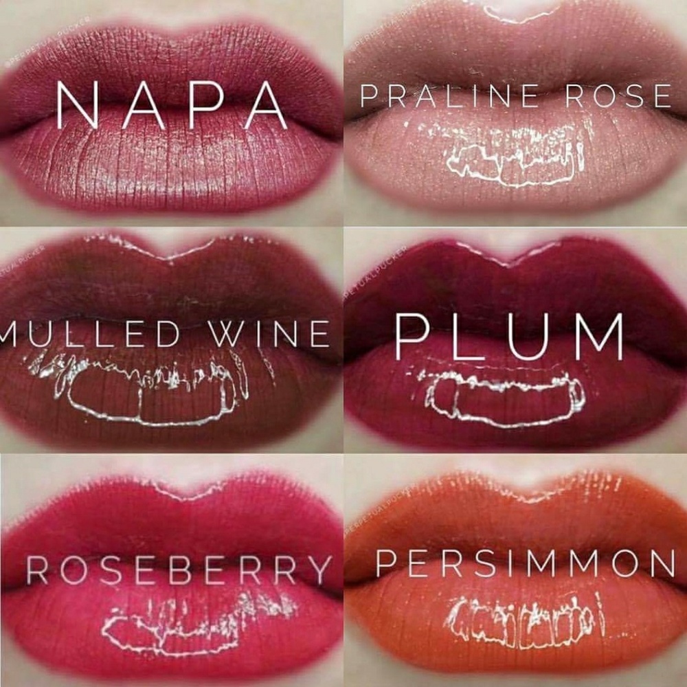 Fall bundle lipsense: 2colors+1gloss+1remover