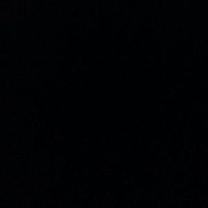 Meet your Posher, Sadie