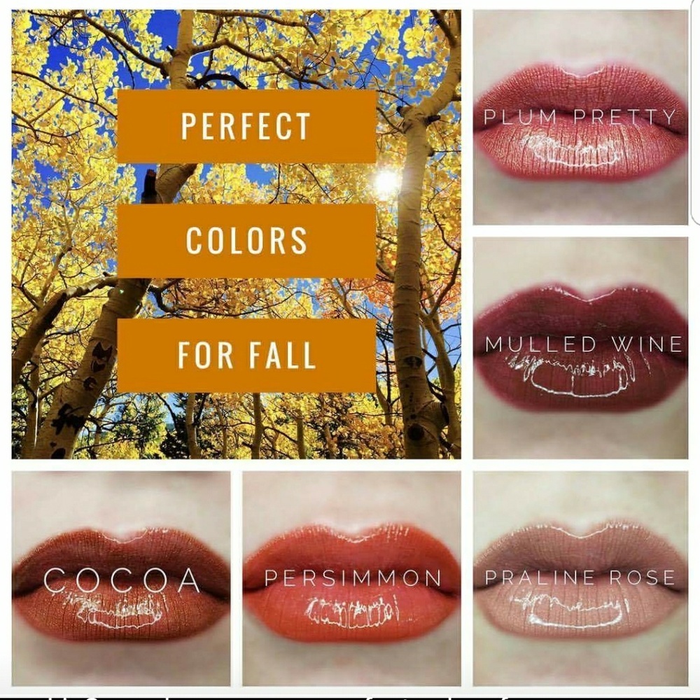 Fall bundle lipsense: 2 colors+1gloss+1remover