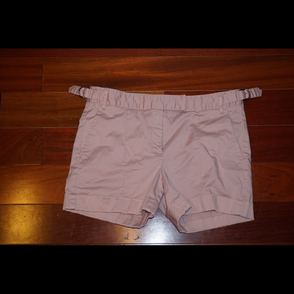 Zara Shorts