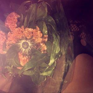 Meet your Posher, Mandy