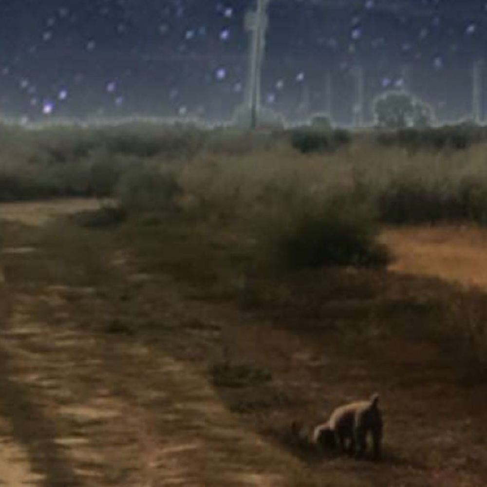 Meet your Posher, Elisa