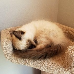 Meet your Posher, Jimmy