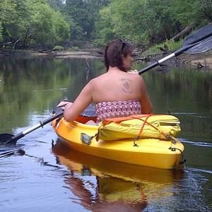 Meet your Posher, Collins