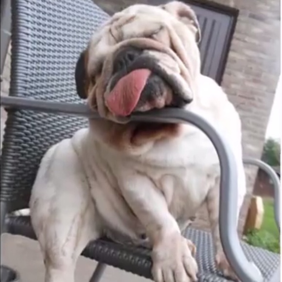 Meet your Posher, Kevin - Picture 1 of 1