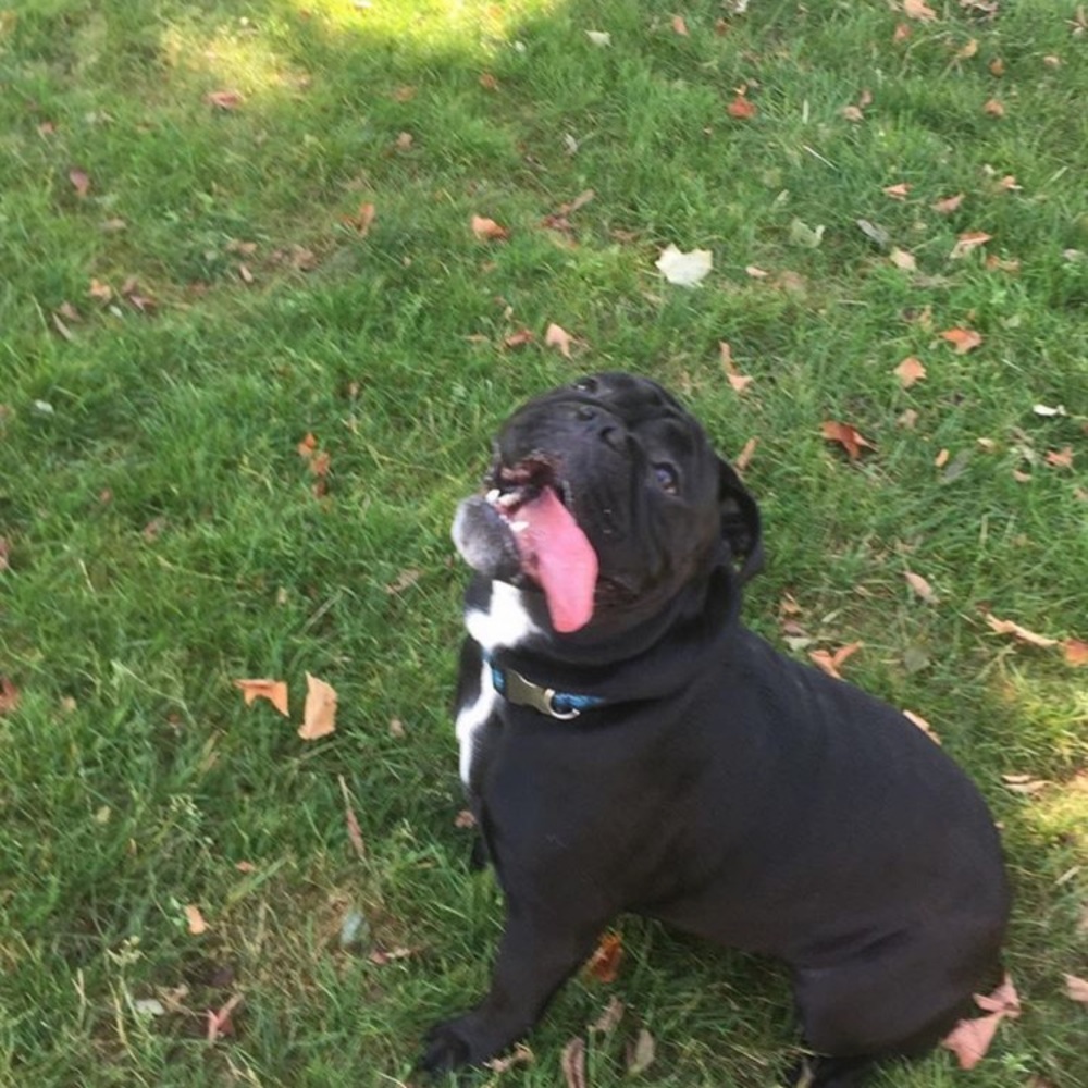 Meet your Posher, Evelyn