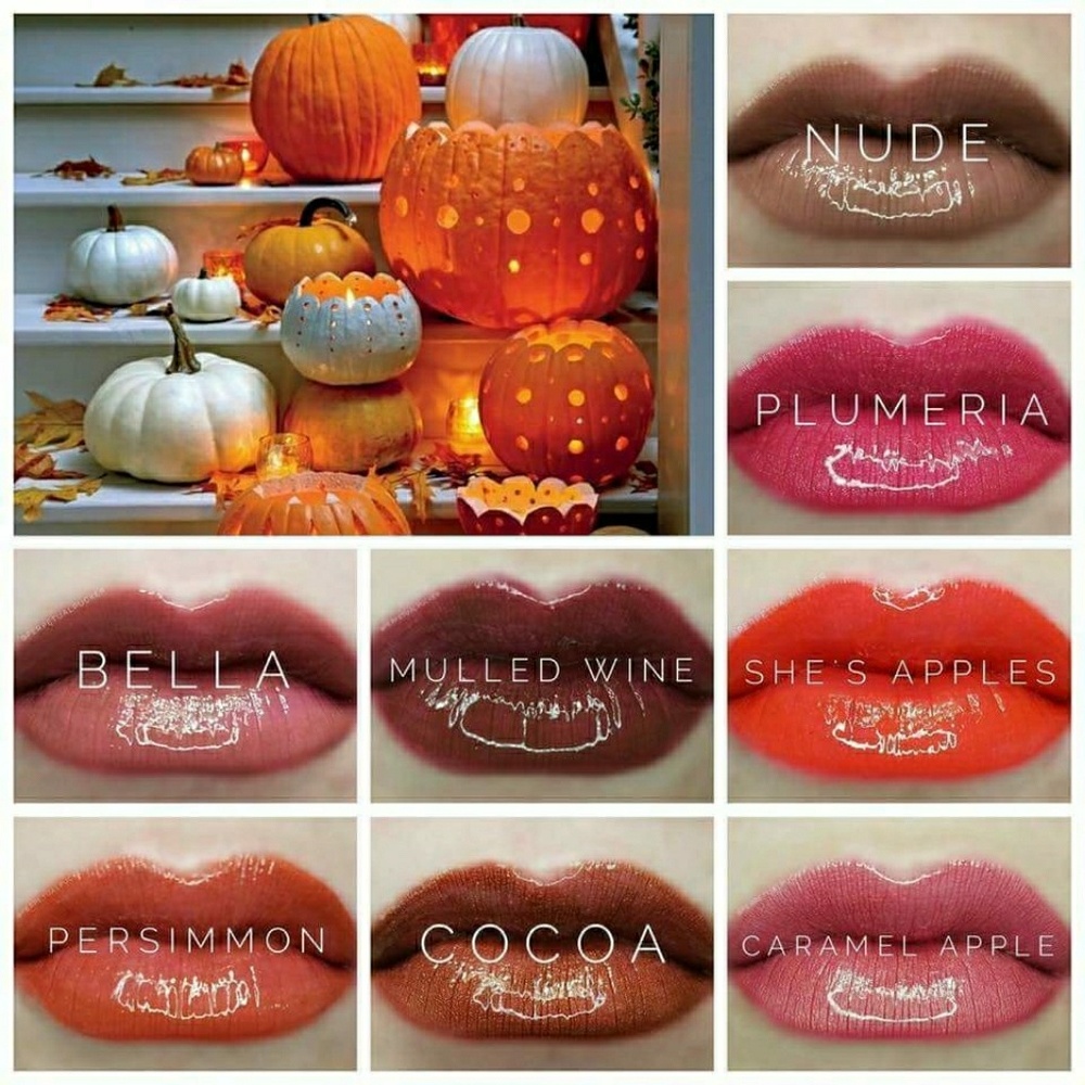 Lipsense fall color: 1 lipcolor
