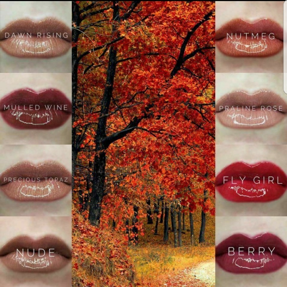 Fall color lipsense starter kit: Trio