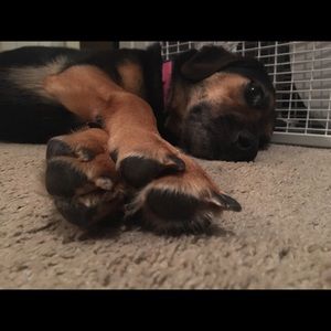 Meet your Posher, Stephanie