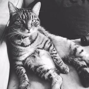 Meet your Posher, Lex