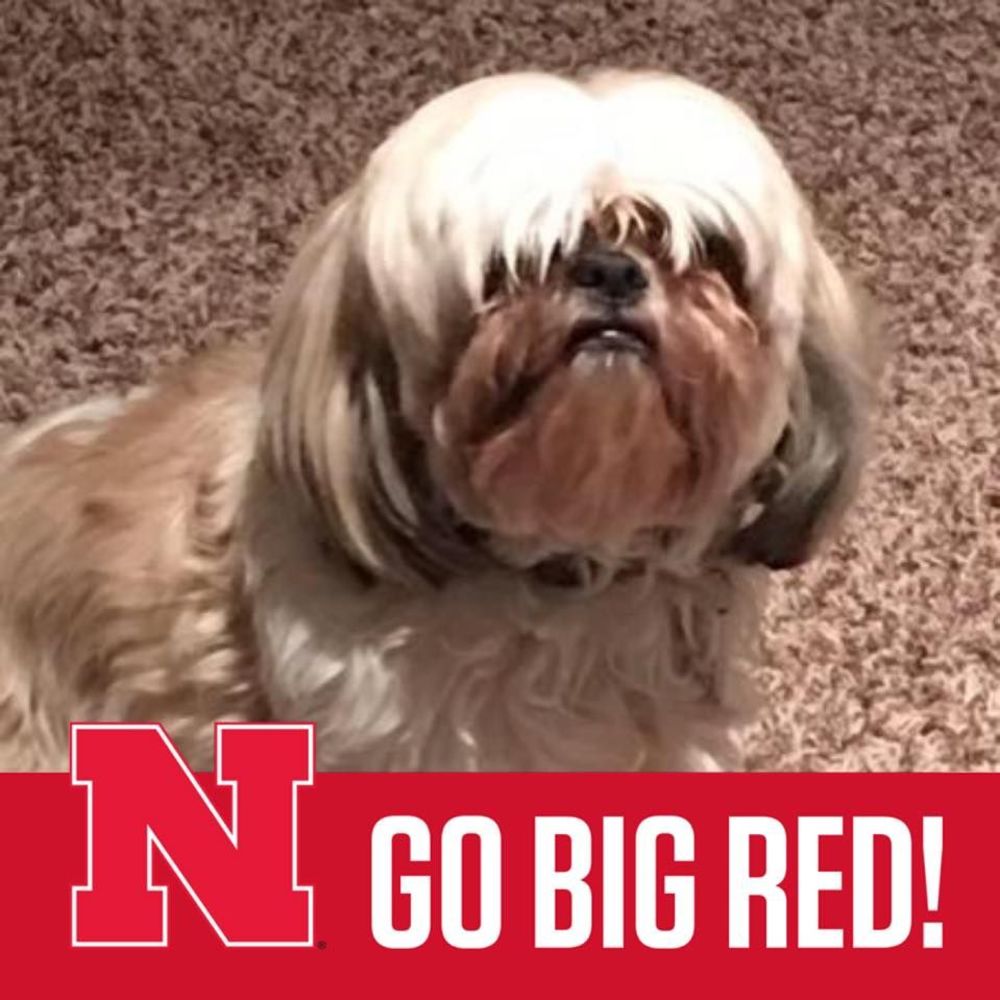 Meet your Posher, Jill