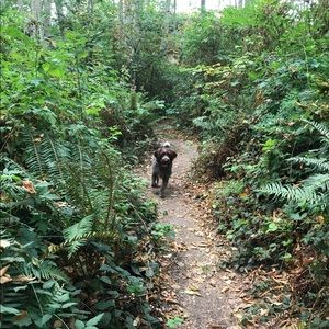 Meet your Posher, Holly