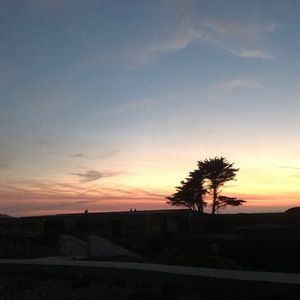 Meet your Posher, Jade