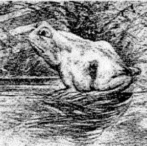 Meet your Posher, Irene