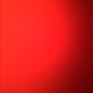 Meet your Posher, Darius