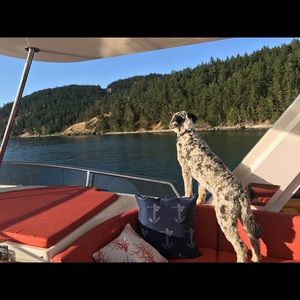 Meet your Posher, Kailee