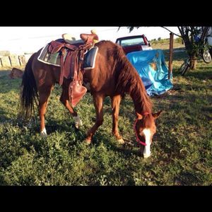 Meet your Posher, Jesus