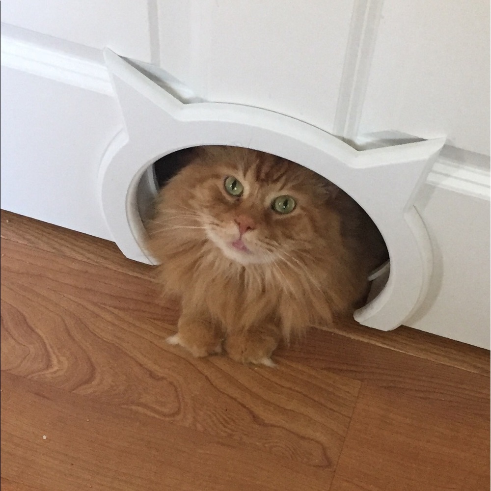 Meet your Posher, Tiffany