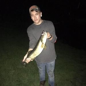 Meet your Posher, Brett