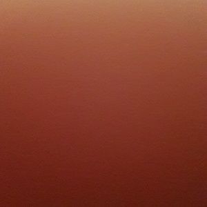 Meet your Posher, Arika