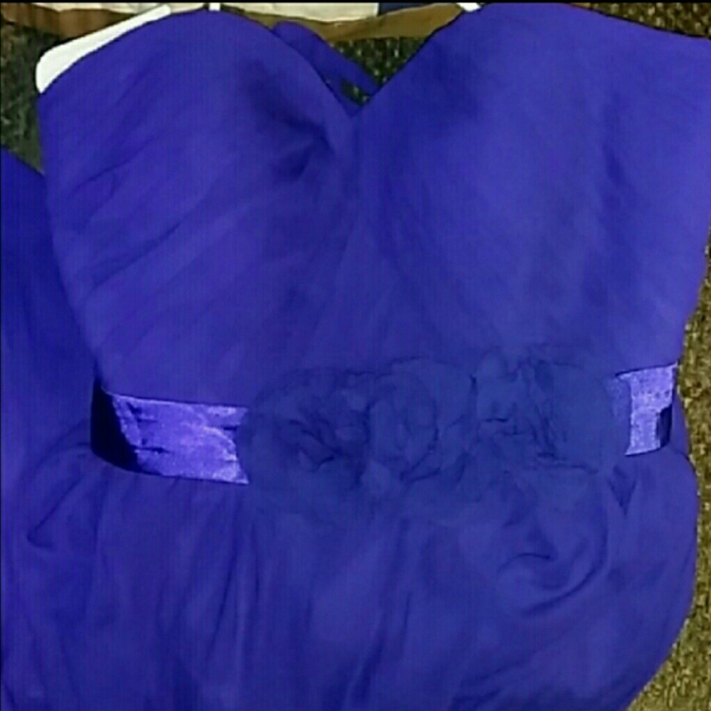 ✨👑 Royal Blue Formal 👑✨