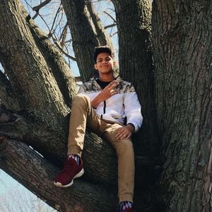 Meet your Posher, Zeb