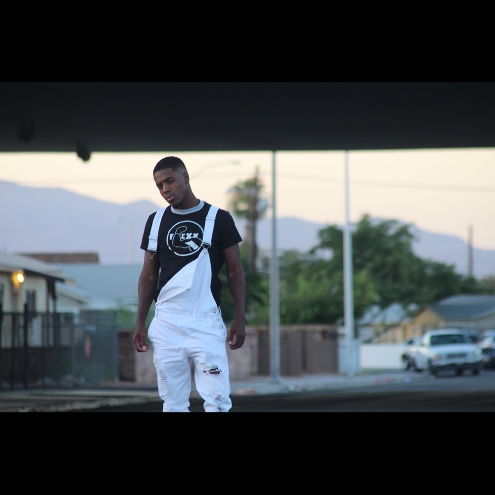 FLEXX Overalls