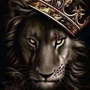 Meet your Posher, Abe