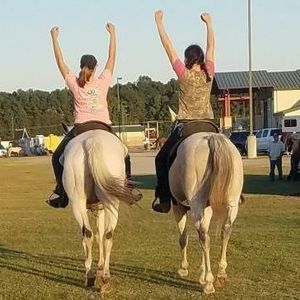 Meet your Posher, Breeanna