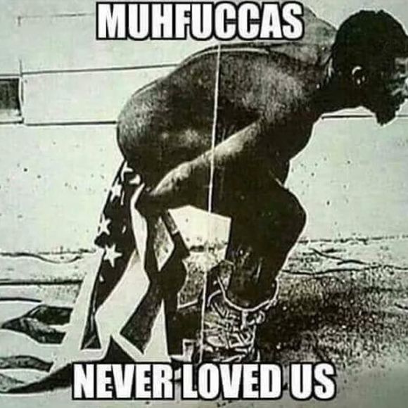 Meet your Posher, Omar - Picture 1 of 1