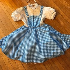 Dorothy Wizard of Oz dress costume