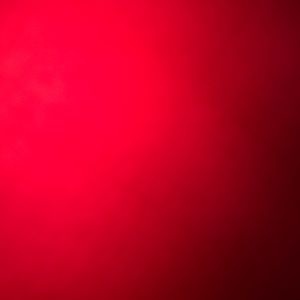 Meet your Posher, Ty