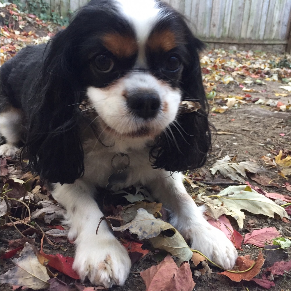 Meet your Posher, Stacie