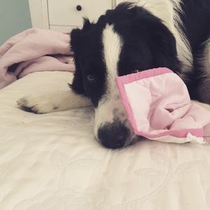 Meet your Posher, Tracy