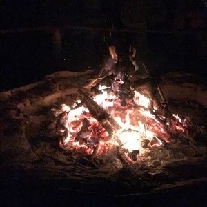 Meet your Posher, Gilda