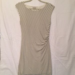 Ann Taylor Loft Knit Dress