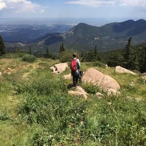 Meet your Posher, Julia