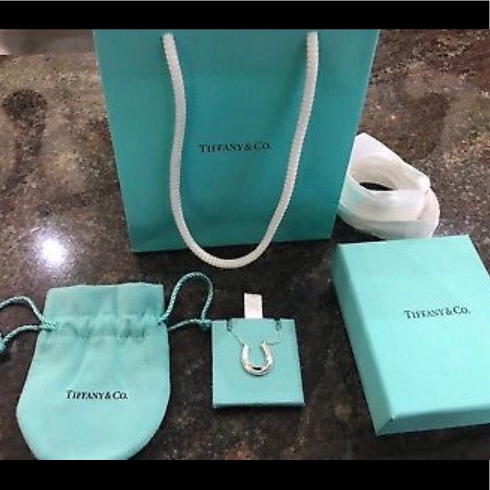 Tiffany's Horseshoe necklace. *NEW*
