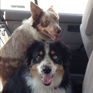 Meet your Posher, Aspen