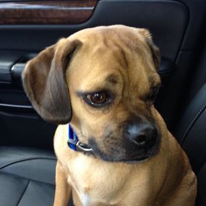 Meet your Posher, Kelly