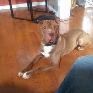 Meet your Posher, Eugene