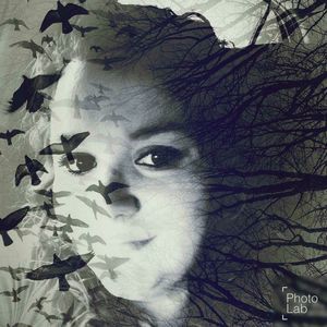 Meet your Posher, Fancy-louise