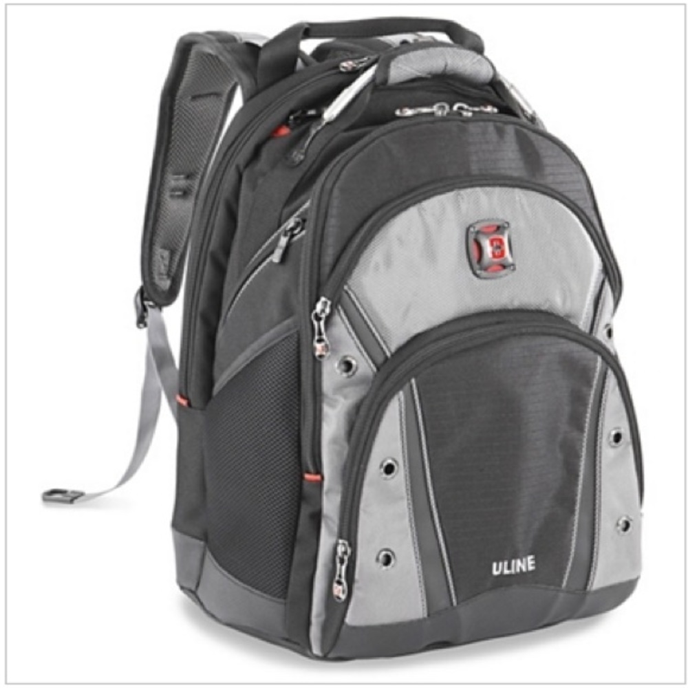 NWOT SwissGear backpack from ailing