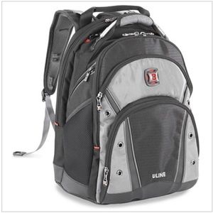 NWOT SwissGear backpack from ailing