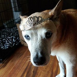 Meet your Posher, Kiley