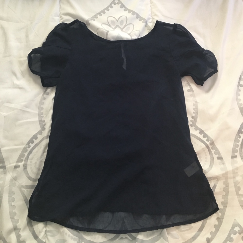 Medium Sheer Blue Blouse