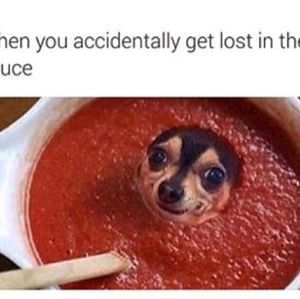 Meet your Posher, Joseph