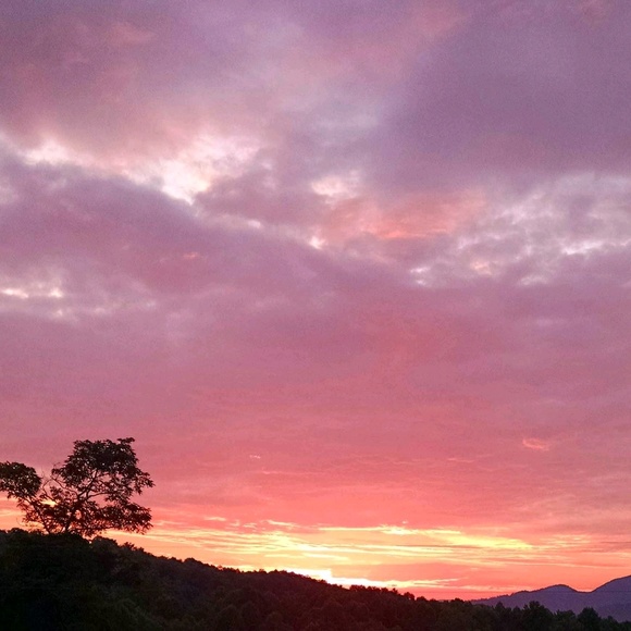 Meet your Posher, Nicole - Picture 1 of 1